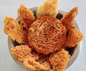 Nellore Konaseema Garajee